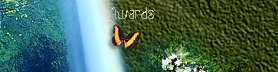 My awards